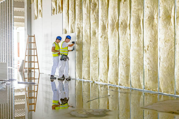 Best Insulation for New Construction  in Muncy, PA